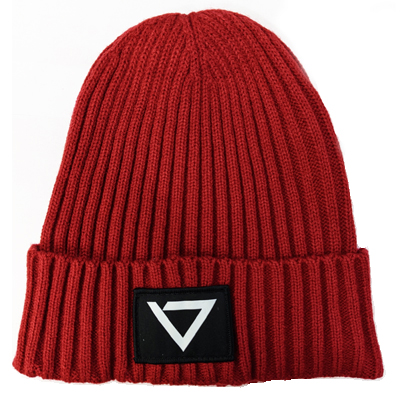 ADE Beanie LOGO - red