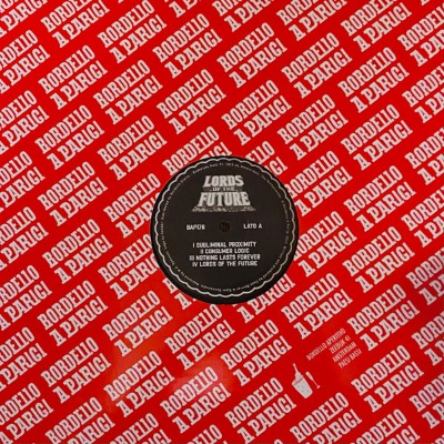Lords Of The Future - Terrestrial Exploration - Vinyl 12"