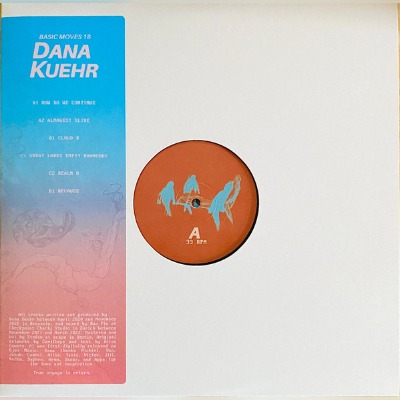 Dana Kuehr - Untitled - Vinyl 2x12\"