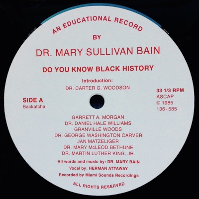 Dr. Mary Sullivan Bain - Do You Know Black History - Vinyl 12\"