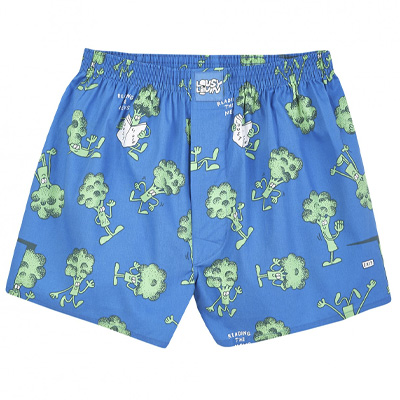 LOUSY LIVIN Boxershorts BROCCOLI - directoire blue