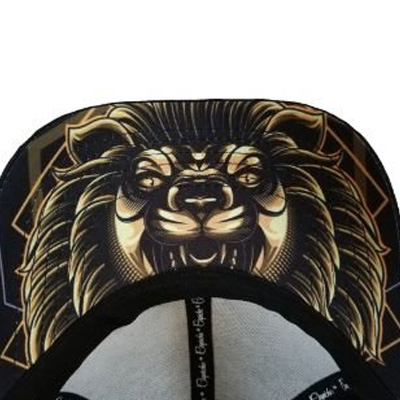 Curved-cap-mighty-lion-Black-2.jpg