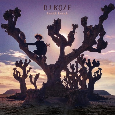 DJ Koze - Knock Knock - Vinyl 2xLP