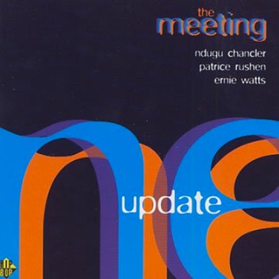 The Meeting - Update - Vinyl LP