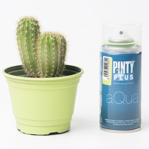 Pintyplus-aqua-100ml-2.jpg