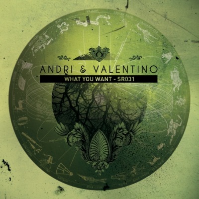 Andri / Valentino - What You Want - Vinyl 12\"