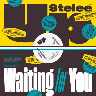 Stelee Up - Waiting For You - Vinyl 12"