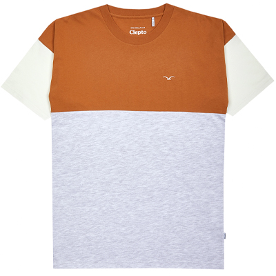 tshirt-drop-brownginger-01.jpg