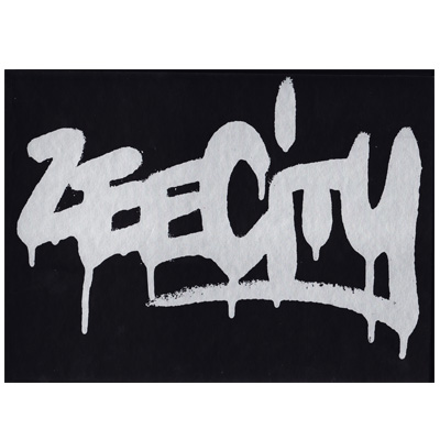 ZEE CITY Buch